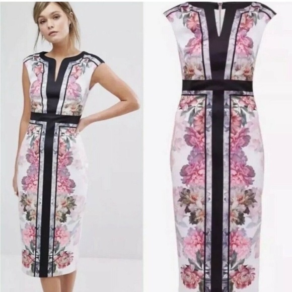 Ted Baker London Shawnie Painted Posie Fitted Midi Dress Baby Pink Sz 3 - Picture 1 of 16